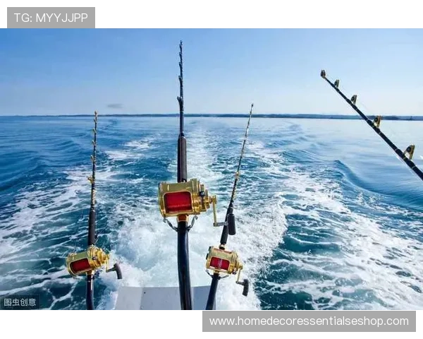 畅游ag捕鱼试玩登录线路：揭秘最热门的捕鱼技巧与心得